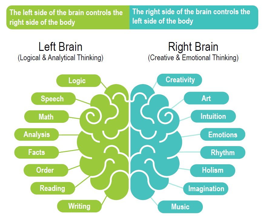 Image depicting the functions of the left side and the right side of the brain.